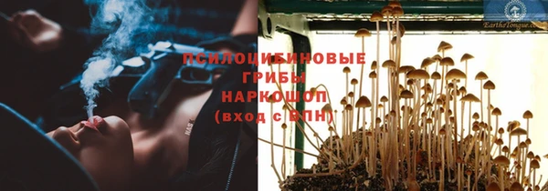 а пвп мука Алзамай