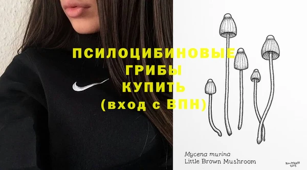 мет Алексин