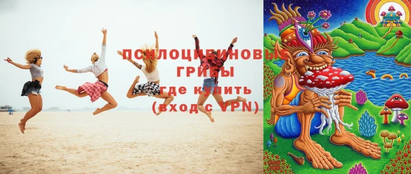 дмт Алексеевка