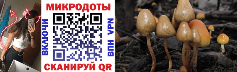 Галлюциногенные грибы Cubensis Монино