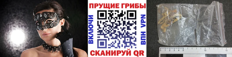 Псилоцибиновые грибы Psilocybe  площадка Telegram  Монино 